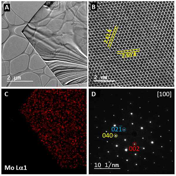 합성한 α-Mo2C의 (A) TEM, (B) HRTEM, (C)EDS, (D) SAED 이미지