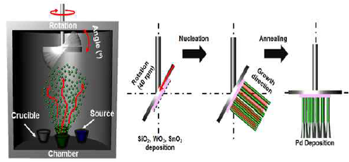 산화주석 나노로드 센서 제조 방법 모식도