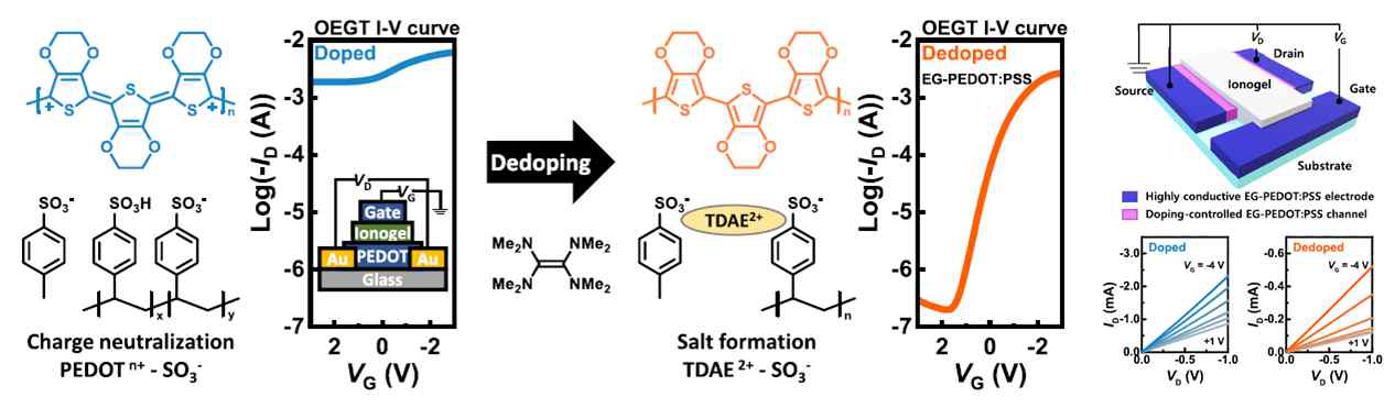 전도성 고분자 기반의 전해질 게이트 트랜지스터의 전류-전압 특성