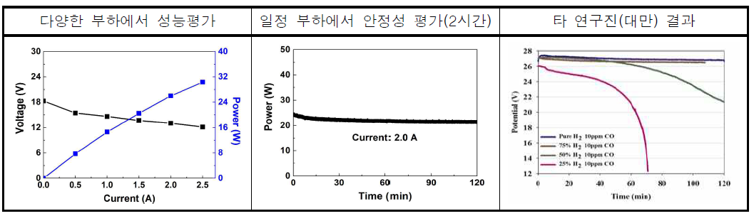 30 W급 연료전지 시스템의 성능평가