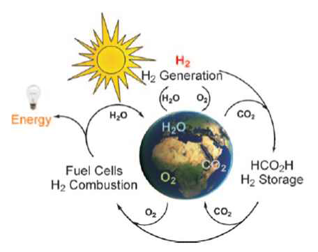 개미산을 이용하는 CO2 순환사회