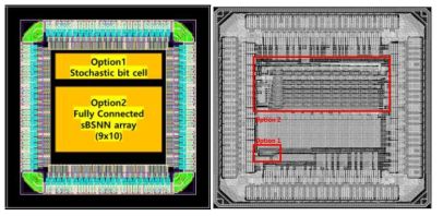 (a) MPW 칩floor plan. (b) Designed chip layout