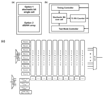 (a) 칩구조 (b) 옵션1, 스토캐스틱 비트 단일 셀 (c) 옵션 2, sBSNN 구조
