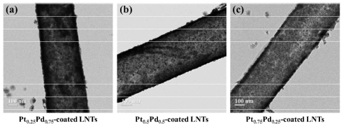 DiynePC nanotube 위 증착된 Pt-Pd nanoparticle의 TEM image