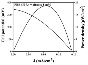 LIpid nanotube 위 코팅된 CuO nanoparticle anode의 glucose 농도에 따른 연료전지 특성