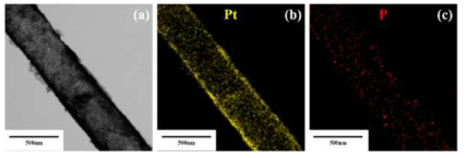 Lipid nanotube에 ascorbic acid로 환원된 Pt nanoparticle 의 TEM image 및 EDS 성분 분석