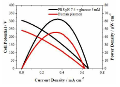 LIpid nanotube 위 코팅된 Pt nanoparticle anode의 glucose 농도에 따른 연료전지 특성