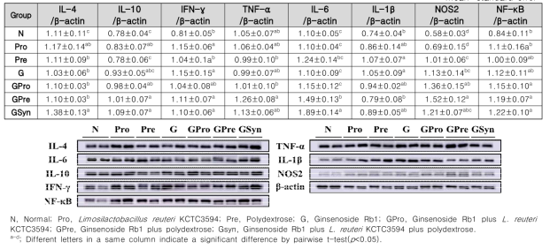 Relative expression level of immune-related proteins in the spleen in a healthy animal model according to intake of synbiotics and ginsenoside Rb1