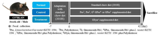 Animal experiment design to confirm the improvement in functionality of ginsenoside Rb1 due to synbiotics intake in a healthy animal model