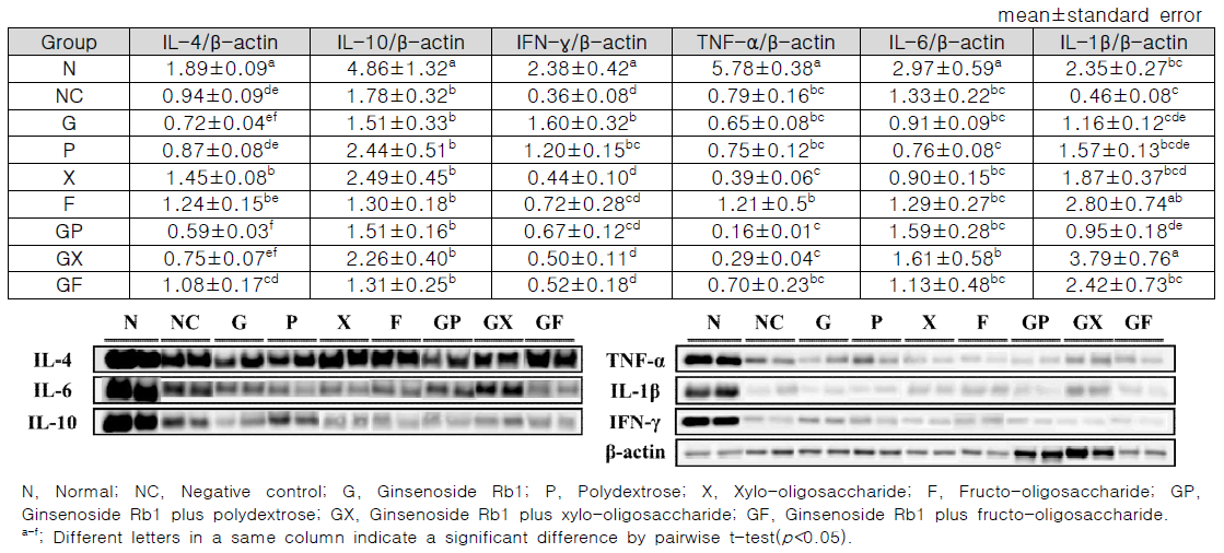 Relative expression level of immune-related proteins in the spleen in an immunosuppression induced model by cyclophosphamide according to intake of prebiotics and ginsenoside Rb1