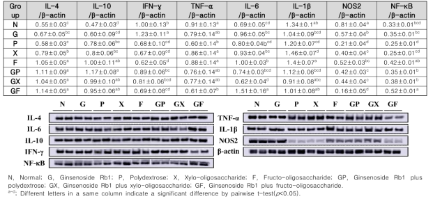 Relative expression level of immune-related proteins in the spleen in a healthy animal model according to