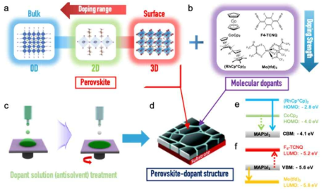 본 연구의 타겟이 되는 페로브스카이트 분자 도핑 전략 모식도