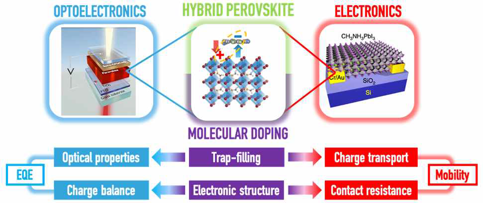 본 연구의 최종 목표인 분자도핑 적용 페로브스카이트 고성능 전자소자 예시