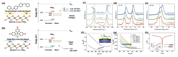 n-형, p-형 분자 도핑 비교 및 분석 및 빛 감응 페로브스카이트/그래핀 이종접합 FET 소자