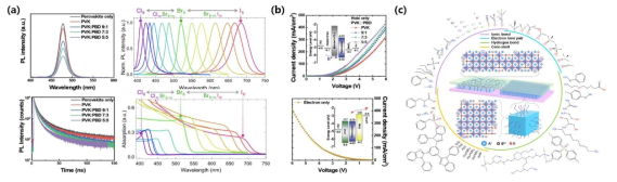 PL, TRPL, 흡광 분석을 통한 페로브스카이트의 광학적 특성 분석, 전류밀도-전압 특성 분석, 분자 도핑을 통한 광학적 특성 제어 로드맵