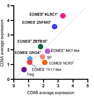 CD8αα 및 CD8αβ발현 비교