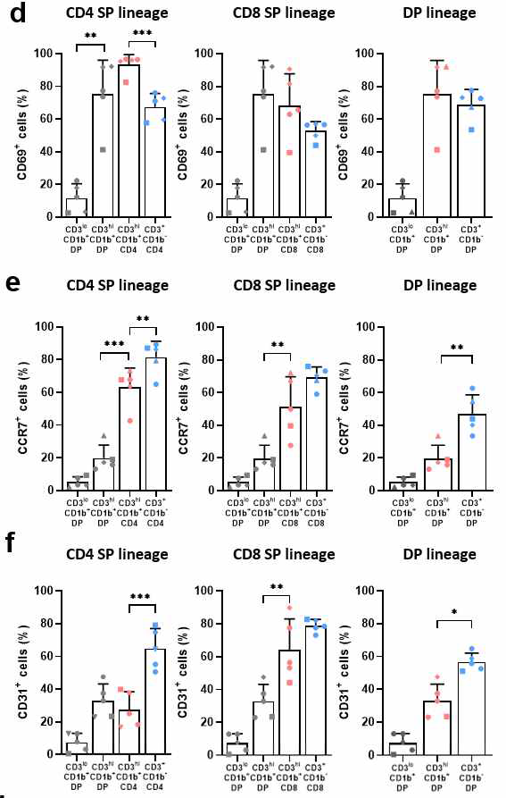 T세포 계통들의 CD69, CCR7, CD31 발현