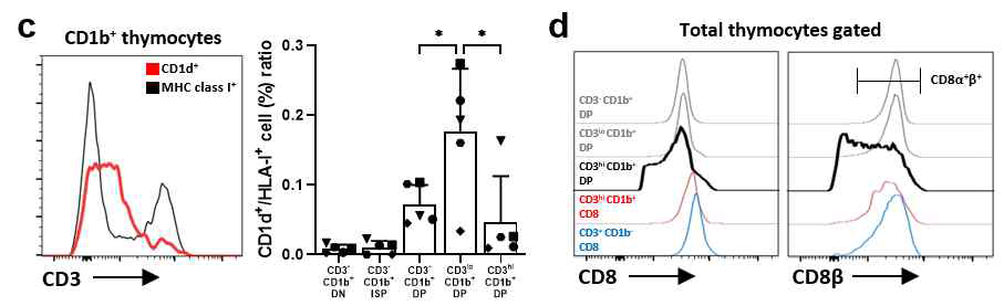 CD1d:MHC-I 발현 비율 및 CD8αα/CD8ab의 발현 변화