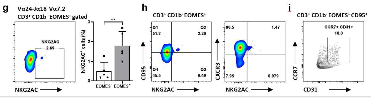 흉선에서의 Eomes+NKG2AC+ 선천유사기억세포