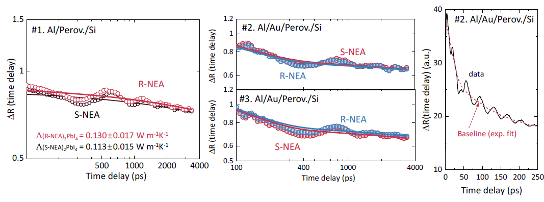 Al 또는 Al/Au 금속 박막을 detection layer로 사용한 (R,S-NEA)2PbI4 시편 대상 시간영역 열반사법 (TDTR) 측정 신호