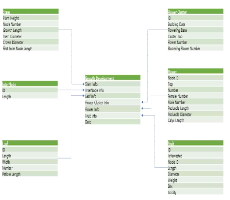 생육정보 스키마