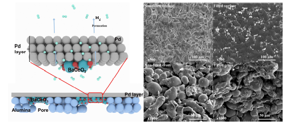 Pd-BaCeO3/porous alumina구조에서의 수소이동 모식도 및 졸 코팅 후 표면 미세구조