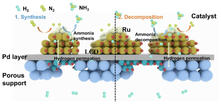 Ru-LCO/Pd/BaCeO3/porous Al2O3 구조에서의 암모니아 합성 및 분해 모식도