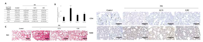 6주간 미세먼지에 노출된 마우스의 폐 무게 및 H&E 분석 결과. A) 6주 미세먼지(PM) 노출 쥐의 평균 폐, 심장, 대동맥, 간, 비장, 흉선 및 내장 mg/body weight무게, B), hematoxylin과 eosin (H&E)으로 염색된 Control, PM처리군, GCN, GRC처리 마우스 오른쪽 아래 엽 조직 (스케일바: 50μm, 200배 확대) 그리고 C) 폐포 중격의 총 세포 수. 총 세포의 값은 각 그룹에 속한 4마리의 마우스 중 3마리의 마우스에서 평균을 구하여 평균의 표준오차 (±)로 표현됨. D) 그룹별 T helper cells 및 macrophage 발현 비교. CD4 및 F4/80에 대한 면역조직화학적 염색의 대표적인 이미지. 그룹 간 통계적으로 유의미한 차이는 one-way ANOVA/Dunnett’s t-test를 사용하여 분석함,(*P<0.05, ***P<0.001 vs.Control)