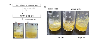 전자레인지 GRC 추출물의 나노입자제조 (A) 전자레인지 GRC 추출물의 나노입자 제조 도식도 및 조건. (B) 다양한 pH 조건의 GRC 추출물 및 키토산과의 반응 후 모습