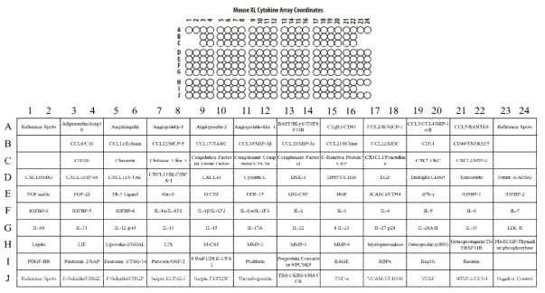 List of these cytokines, chemokines, and growth factors detected in a single sample