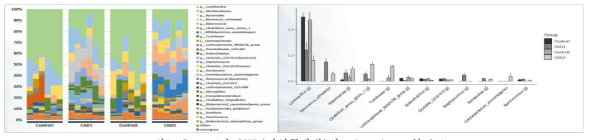 Control과 CKD(만성콩팥병)의 microbiome 분포도