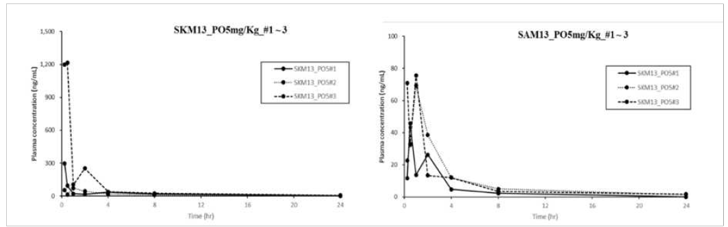 ICR 마우스에서 5 mg/kg in a single dose (100 μl/mouse)을 주입하고 시간차로 혈액내 존재하는 약물을 LC–MS/MS 분석한 결과 SKM13-2HCl 과 SAM13-2HCl 는 혈중 가장 높은 농도 (Cmax)가 각각 515±0.04 와 52±0.3 μM 로서 SKM13-2HCl 보다 낮은 효능은, 아마도 SAM13-2HCl이 상피세포를 투고하는 효율이 낮아졌거나, 혈중내 빠른 대사 가능성을 시사함