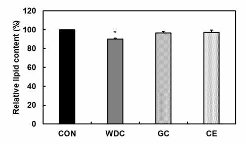 대조군(CON), 케피어 유산균+감귤박추출물+유청 포스트바이오틱스 (WDC), 양성대조군 (가르시니아 추출물(GC), 유청+감귤박추출물(CE)의 3T3-L1 지방 생성능 억제 효과