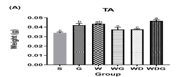 고지방식이에 G, W, WG, WD와 WDG를 추가하여 제작한 식이를 4주간 공급 후 측정한 TA 조직 무게