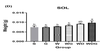 고지방식이에 G, W, WG, WD와 WDG를 추가하여 제작한 식이를 4주간 공급 후 측정한 SOL 조직 무게