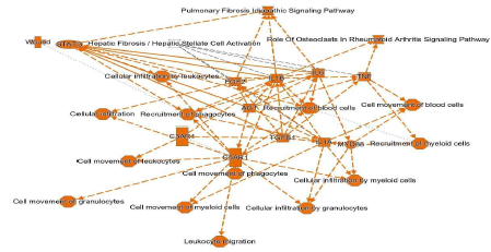 Graphic summary of pathway analysis after postbiotics