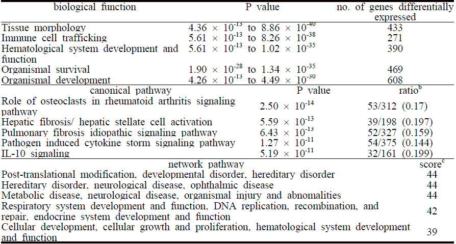 대조군(CON) 이나 WDG 그룹을 먹인 쥐의 근육 (soleus) 조직에서 나타난 top canonical pathways, diseases and biological functions, and top network pathways