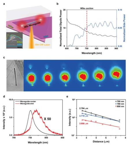 (a) WSe2 단일 층과 WS2 도파로가 커플링 된 시스템 모식도 (b) WSe2 엑시톤의 발광효율 증가율 시뮬레이션 결과 (c) 실험에 사용된 WS2 도파로의 모습과 엑시톤 발광 이미지 (d) WSe2 엑시톤의 스펙트럼과 폴라리톤의 스펙트럼 비교 (d) 특정 파장에서 전파 거리에 따른 폴라리톤 세기의 변화 그래프