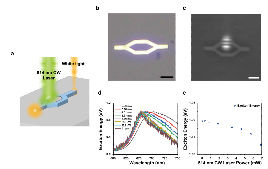 (a) 엑시톤 폴라리톤 변조기 모식도 (b) 엑시톤 폴라리톤 변조기의 광학 현미경 이미지 (c) CCD 이미지로 532 nm 연속파 고체 레이저를 조사하여, 조사된 면적의 엑시톤 밀도를 바꾸어 굴절률과 흡광 계수를 바꿈 (d) 532 nm 연속파 고체 레이저의 파워에 따른 WS2 변조기의 암(arm)에서 방출된 광 발광(photoluminescence) 스펙트럼 (e) 532nm 연속파 고체 레이저의 파워에 따른 엑시톤 에너지 변화