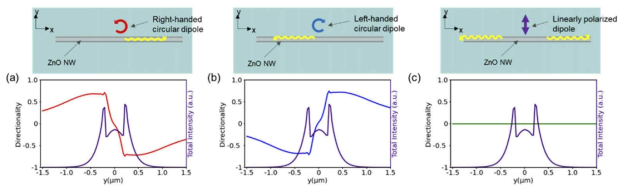 ZnO 와이어 근접장에 위치한 원형편광 다이폴의 카이랄 상호작용 시뮬레이션 결과. 다이폴의 handedness 방향에 따라 약 80 %의 효율로 서로 다른 방향으로 발광함을 계산