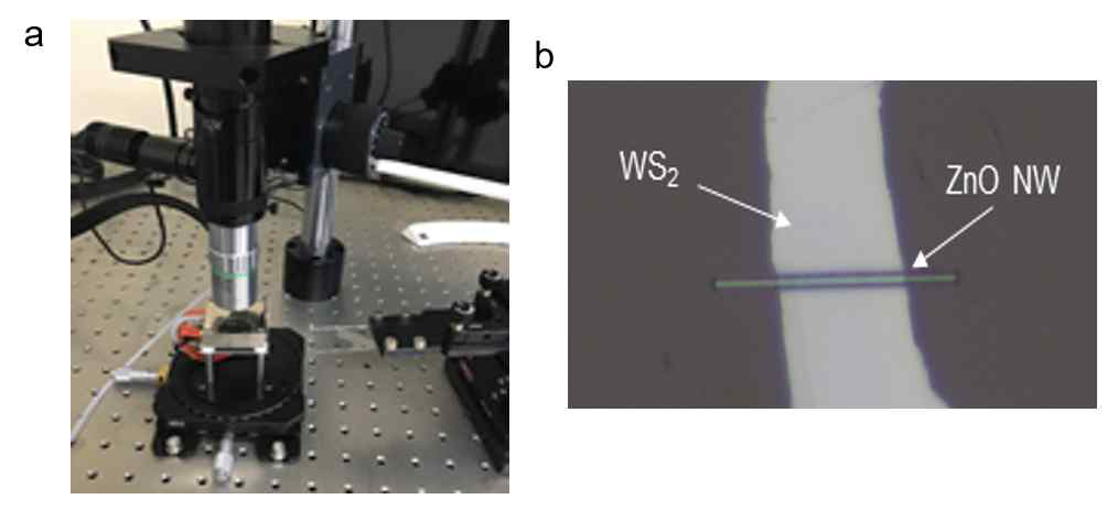 (a) 2차원 구조 및 나노포토닉 구조 선사 시스템 구촉 결과. (b) WS2 layer와 ZnO 와이어 융합 구조 제작 결과