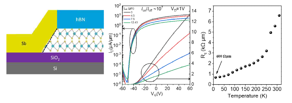 Sb 엣지접촉 MoS2 소자 모식도와 전기적 특성