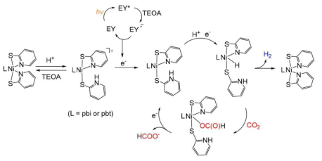 Proposed Mechanisms of H2 Photoproduction and CO2 Photoconversion to HCOO− by Ni(II) Catalysts, EY, and TEOA upon Irradiation