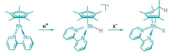 Cp*Rh(bpy) 반응 중간체들