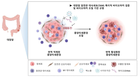 본 연구과제의 최종목표