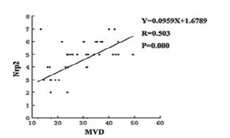 NRP2와 MVD와의 상관성