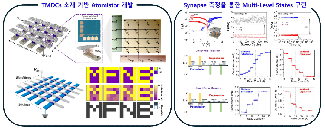 TMDCs 기반 Atomistor 개발과 Multi-Level State 구현 측정