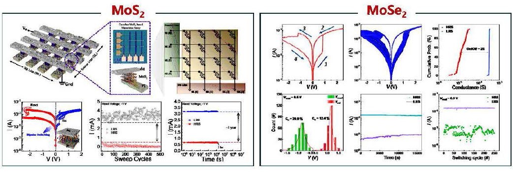저전압 구동 Mo82, MoSe2 Atomistor 개발 및 메모리 특성 분석