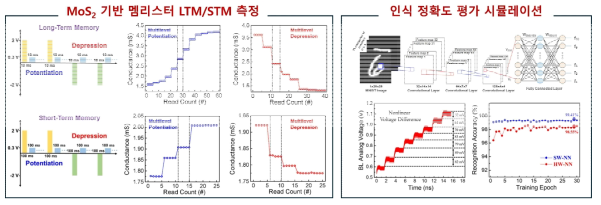 MoS2 Atomistor의 Synaptic 측정과 인식 정확도 시뮬레이션 평가