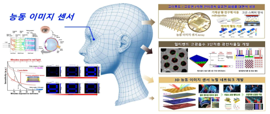 3D 집적 광증폭 능동 Active-pixel 어레이 이미지 센서 개요도